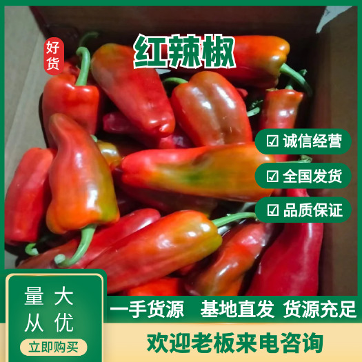 长阳县红泡，红辣椒，甜椒