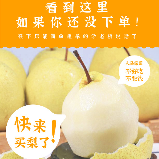 湖南汝城文明翠冠梨脆甜多汁水果皇冠梨水晶梨批发商超一件代发
