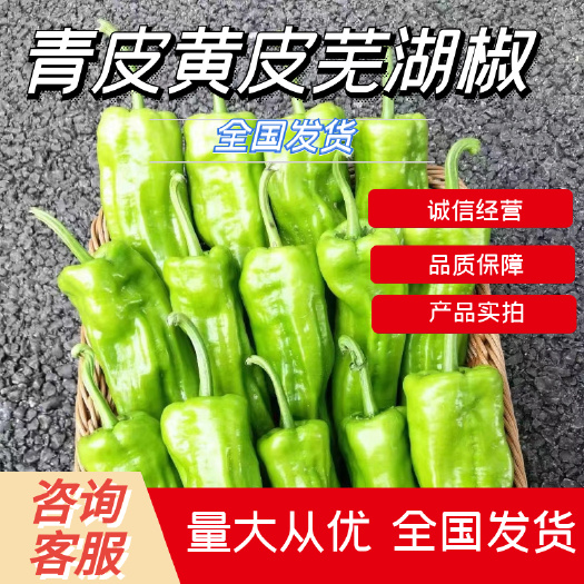 长阳县黄皮芜湖椒，薄皮，新优