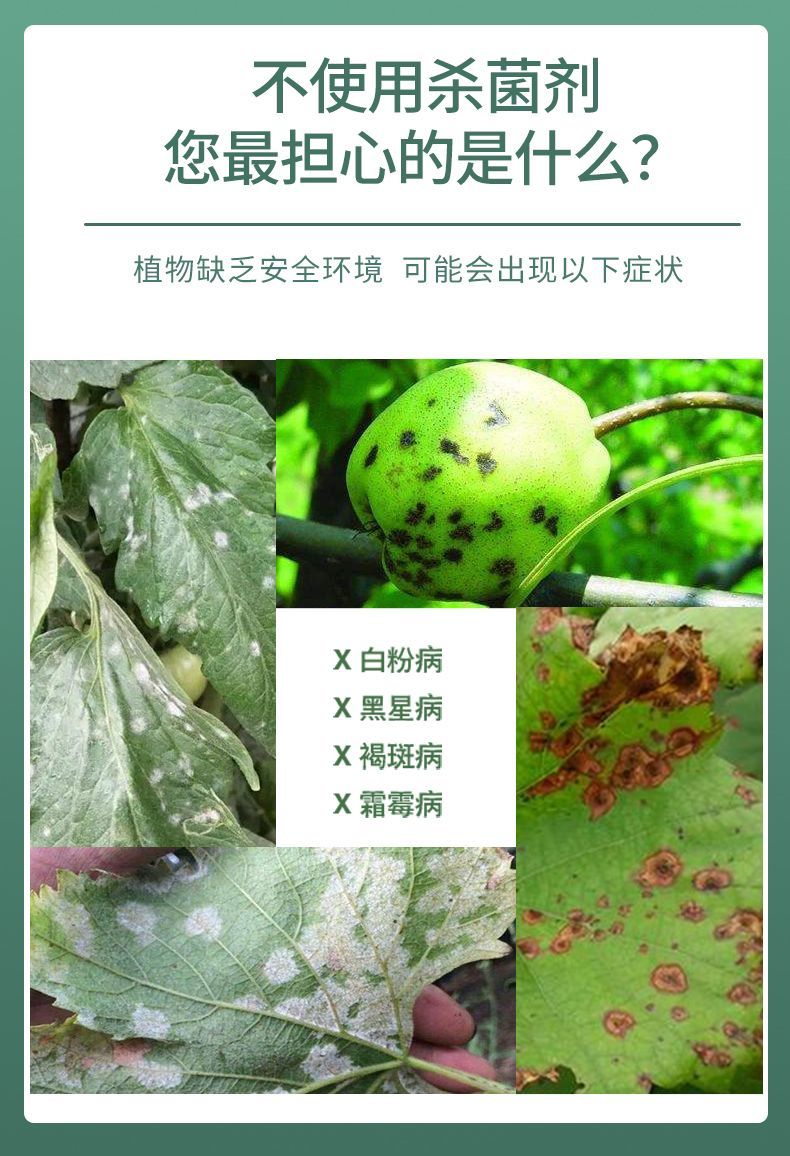 广信40%苯醚甲环唑杀菌剂炭疽病叶斑黑斑病黑星病斑点落叶病