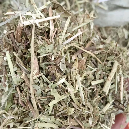 永清县优质花生秧