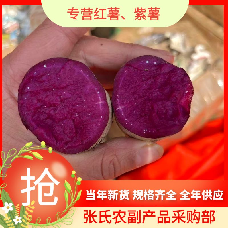 海丰县紫薯 2023年新货 香甜粉软 湖北小叶 广东大叶