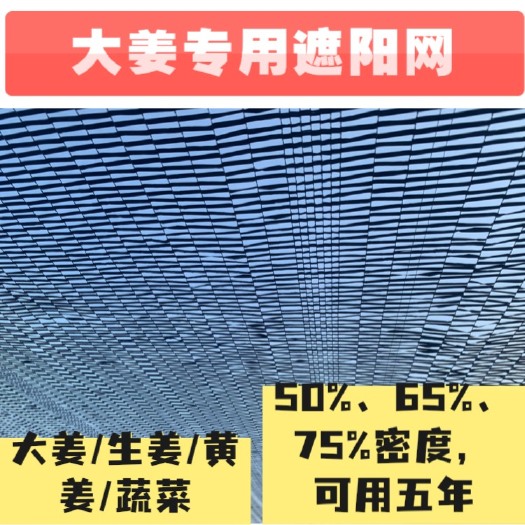潍坊平织遮阳网大棚蔬菜西瓜生姜大姜遮阳网