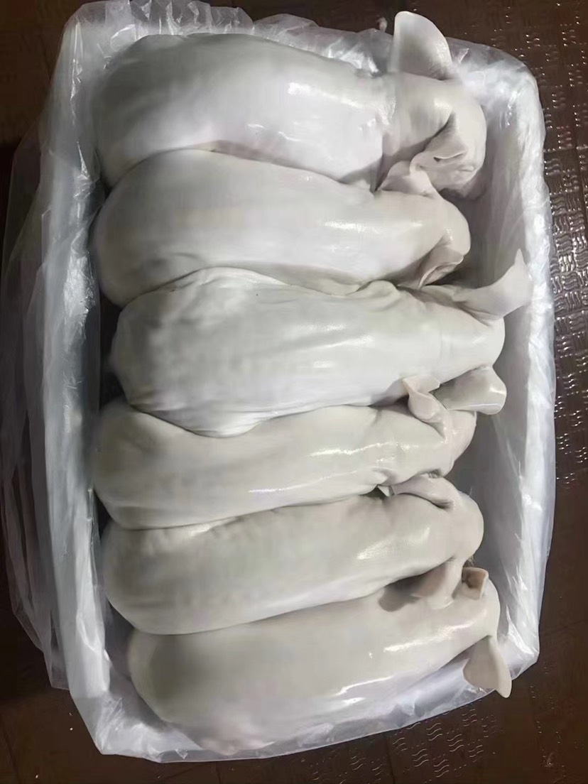 新鲜广西乳猪