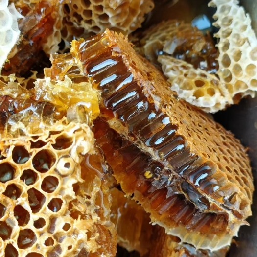 丘北县野生蜂蜜