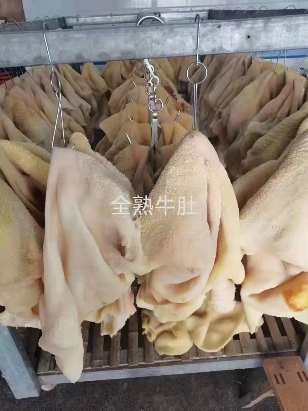 全熟水煮牛肚，原味，实拍图