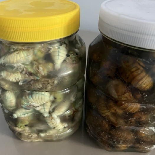 灵宝市大量现货 支持一件代发