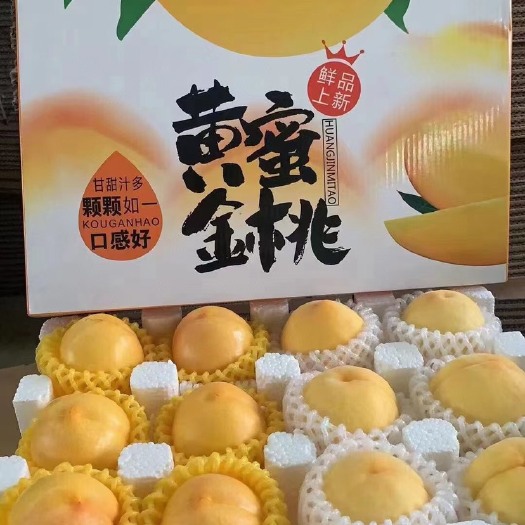 蒙阴县山东蜜桃