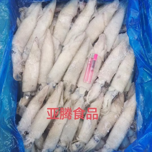 济南笔管鱼 籽乌 海兔。