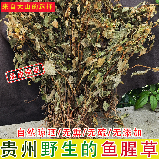 紫云县贵州野生鱼腥草根整颗折耳根晒干无硫