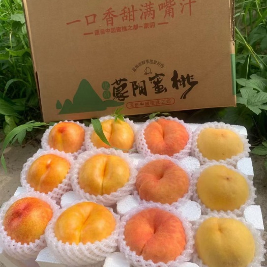蜜罐黄桃4拼