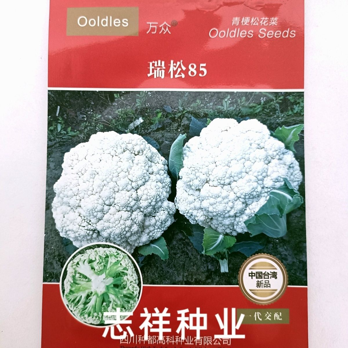 华容县种都瑞松85青梗松花菜种子散花秋冬季播耐寒有机花菜白花种