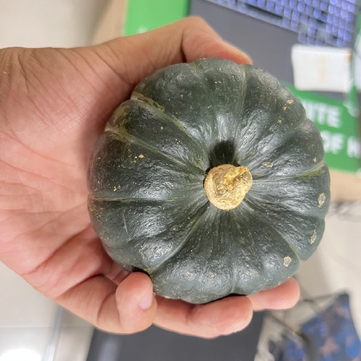 寿光市一件代发，各种规格，贝贝南瓜（爆粉）