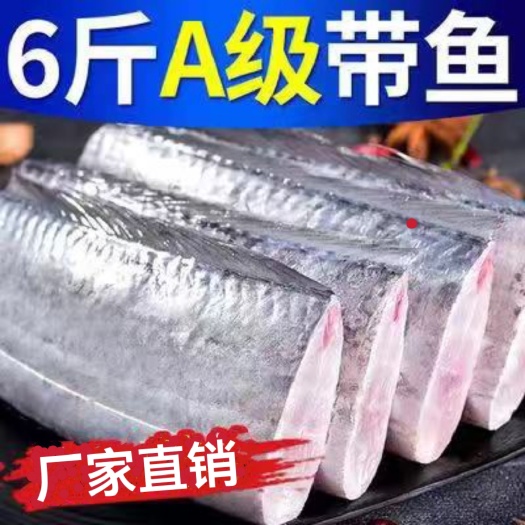 日照带鱼新鲜带鱼海鲜大段舟山带鱼段特大带鱼中段新鲜冷冻海鲜带鱼