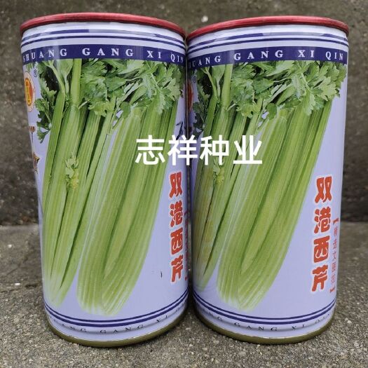 华容县宏程双港西芹菜种子文图拉西芹种籽品质鲜嫩抽苔晚分枝少50克