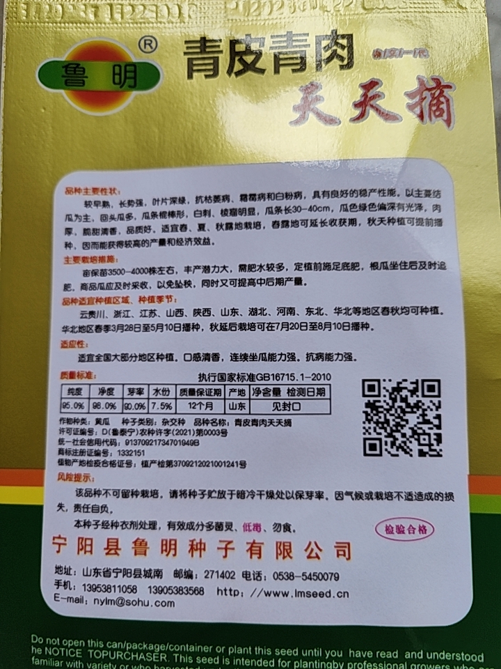 强雌青皮绿肉黄瓜种子油亮型节节瓜绿瓤长黄瓜种子大田蔬菜籽