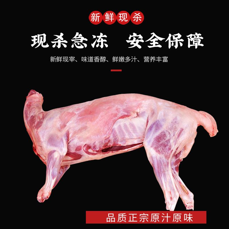 羊肉新鲜现杀冷冻烤全羊内蒙古小羔羊8斤-30斤烧烤酒店食材非