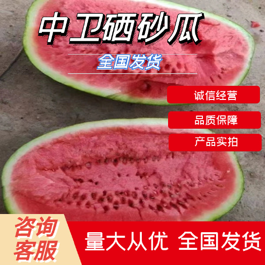 中卫宁夏中卫硒砂瓜金城五号，金花六号，康乐六号