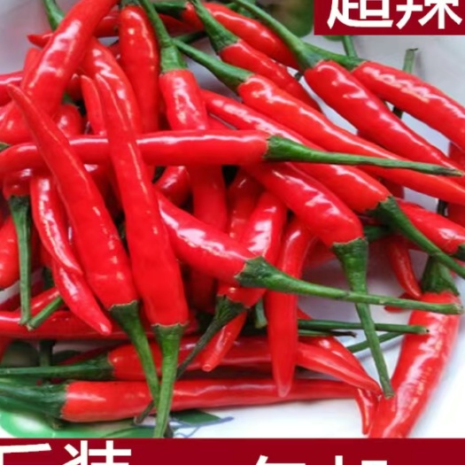 威远县小米辣
