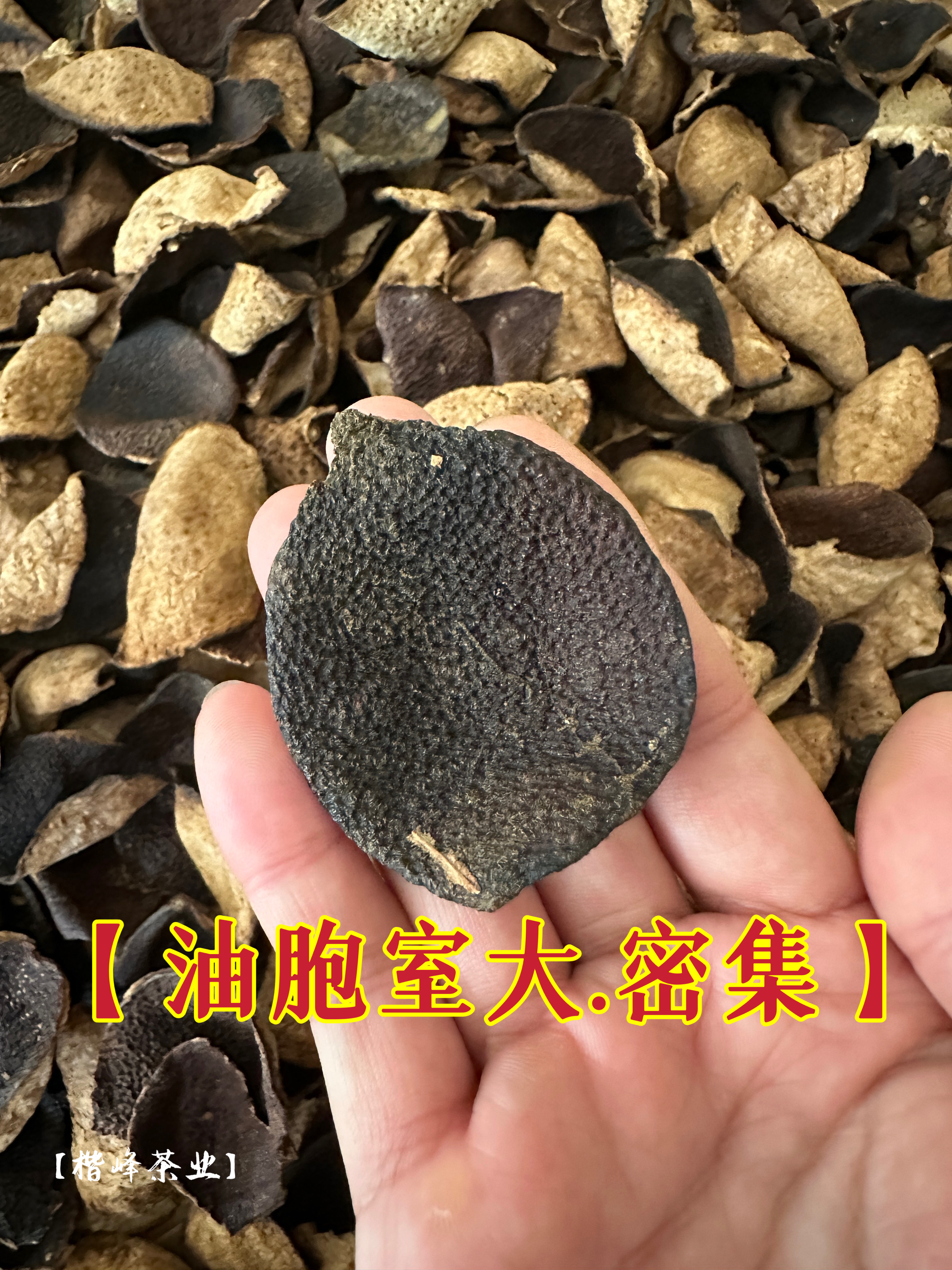 新会陈皮 批发价 角碎陈皮碎 断皮 大红皮老陈皮陈皮干陈皮茶