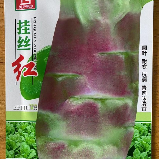 祁东县莴笋种子红莴笋香莴笋种子籽挂丝红莴笋籽蔬菜种子籽