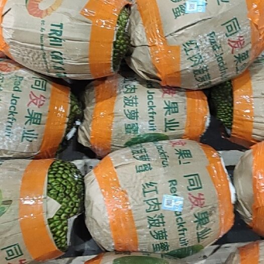 融安县菠萝蜜—嫩滑爽口，清香甘甜，原产地直发，量大从优