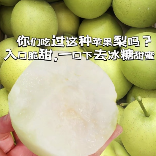 邯郸苹果梨