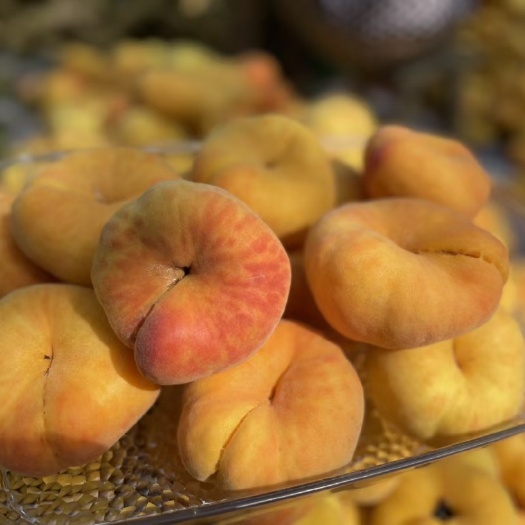 大荔县中潘11个大味好欢迎你