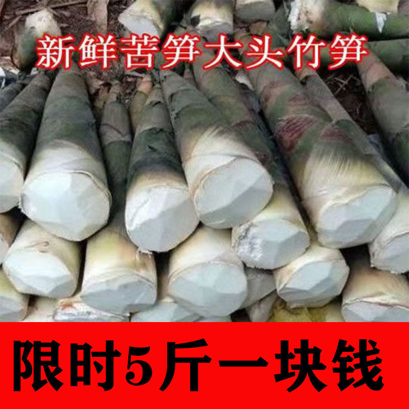 【现挖立发】广西新鲜野生大头竹笋麻竹笋蔬菜甜笋春苦笋可做酸笋
