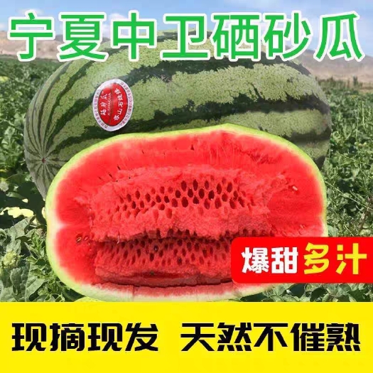 中卫宁夏硒砂瓜石头瓜石头缝里长出来的西瓜个头大口感甜耐运输货源足