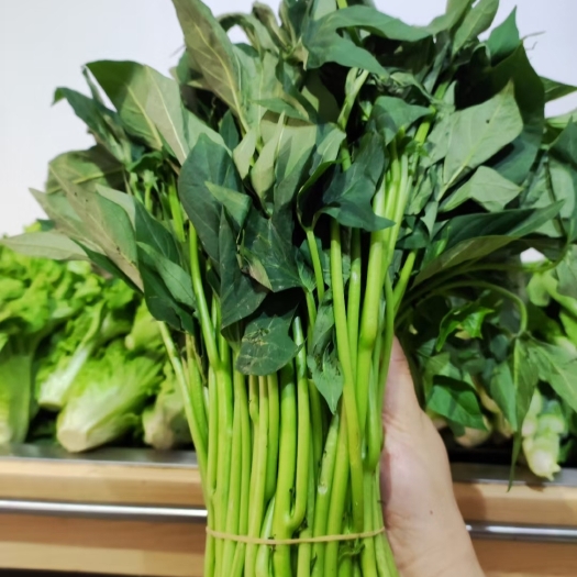 东莞市番薯苗