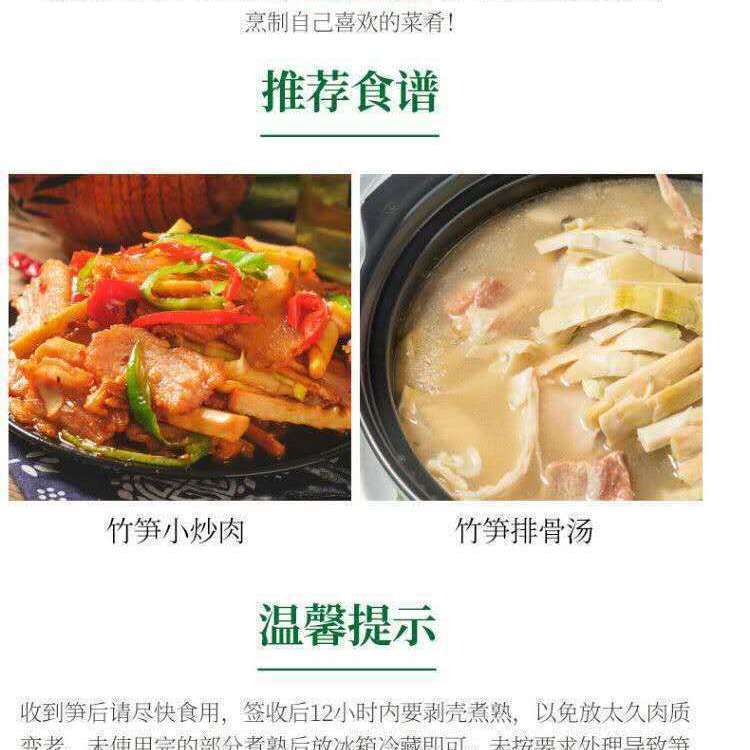 【现挖立发】广西新鲜野生大头竹笋麻竹笋蔬菜甜笋春苦笋可做酸笋