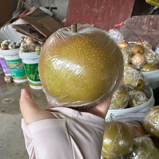 重庆市4两起的黄花梨