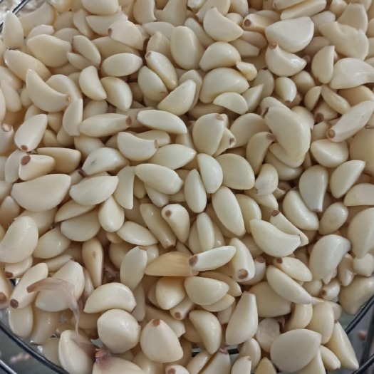 临沂带根杂交蒜米！