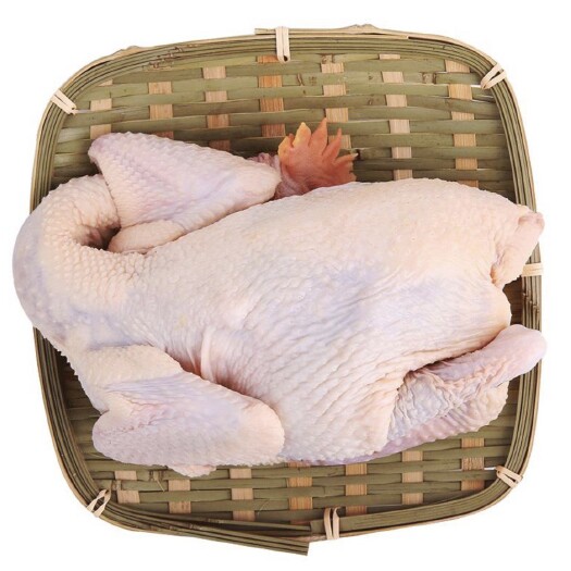 佛山天农整鸡138纯种清远鸡 山林放养走地鸡土鸡新鲜鸡 供港品质