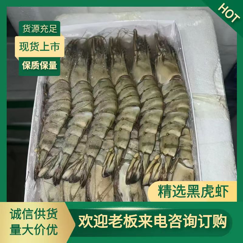 烟台黑虎虾 超大冷冻黑虎虾老虎虾 鲜活速冻斑节虾1000g12只