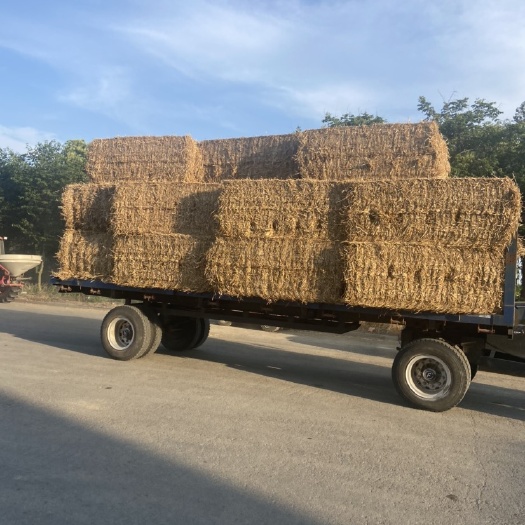 响水县麦草