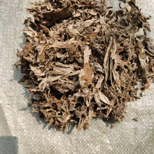 献县3年陈艾，整棵大叶艾，南阳艾