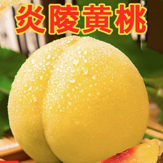 炎陵县炎陵黄桃