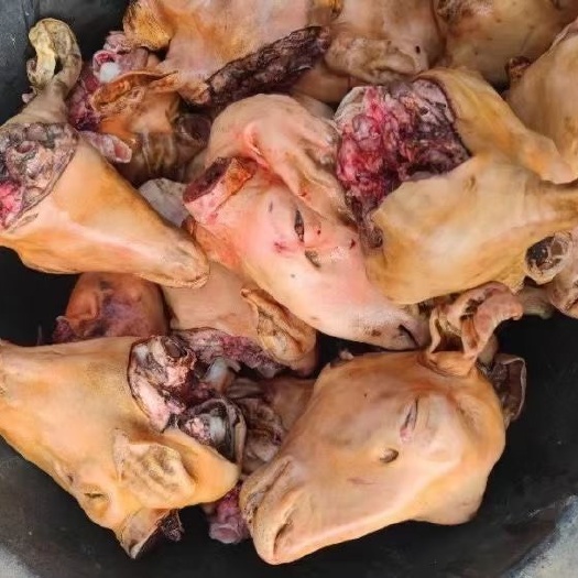 阳信县火烧羊头，羊头肉干净去骨好货看品质，火烧退毛厂家直销