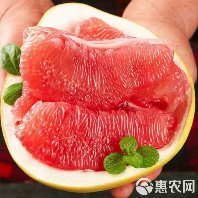 三红 红肉蜜柚一件代发