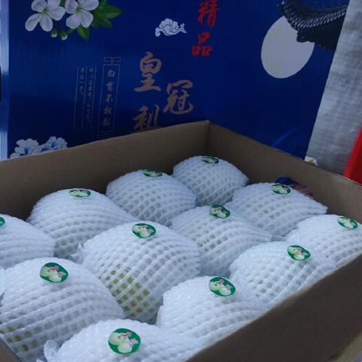 赵县现货直供 一件代发 社区团购