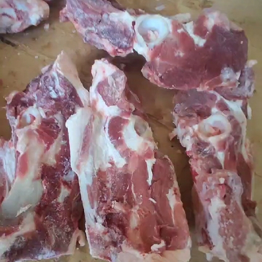 河间市羊蝎子，之羔羊胯骨，羊蝎子火锅一级食材，肉含量高，精修去油，