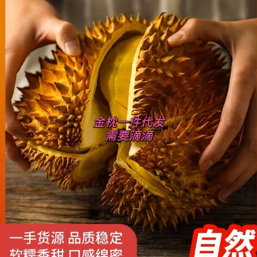 昆明金枕