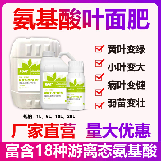 寿光市动物源氨基酸黄瓜西瓜番茄西红柿草莓黄叶弱苗