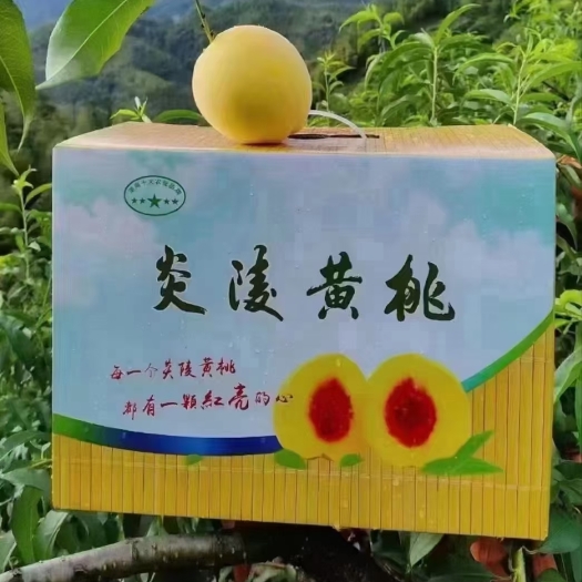 炎陵县炎陵高山黄桃，一件代发！