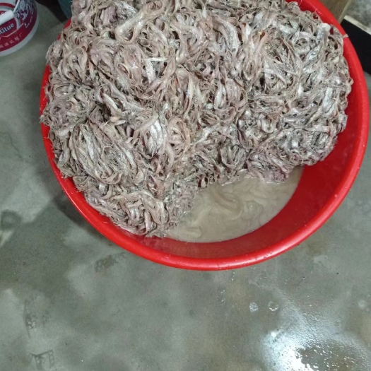 霞浦县鱼生