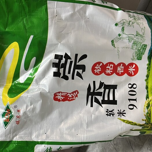 兴化市纯正南梗9108批发