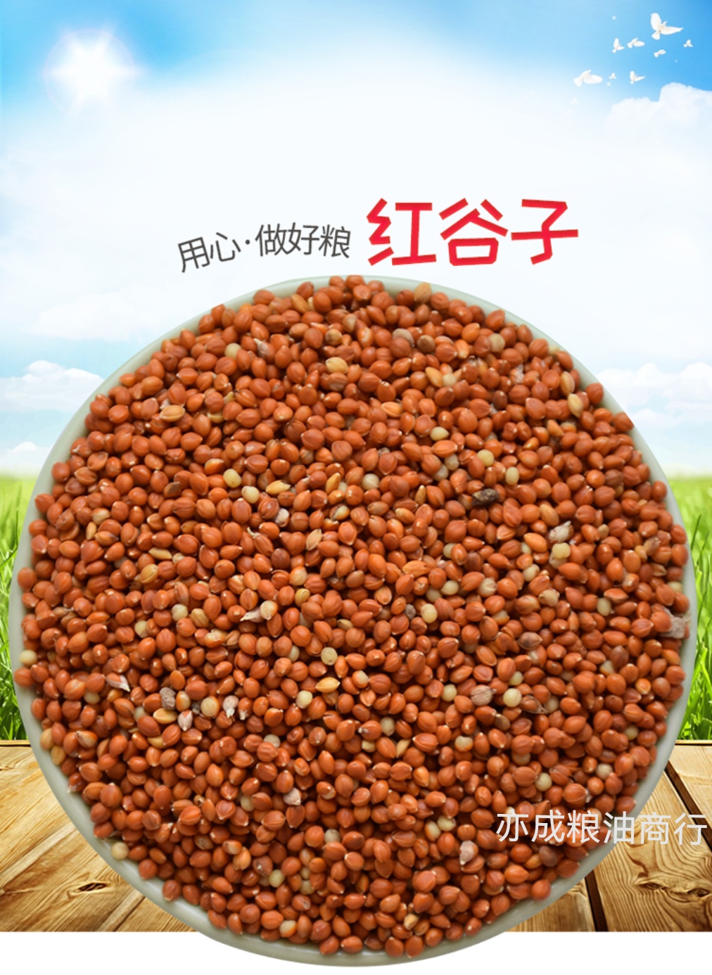 红谷子批发 带壳红小米喂鸟食鸟粮25kg谷子