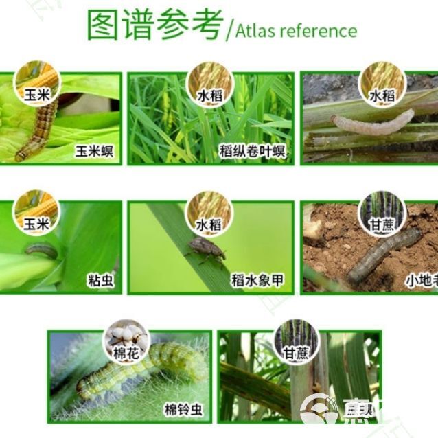 摇击甲维氯虫苯甲酰胺水稻卷叶螟荔枝龙眼帝蛀虫农药杀虫剂老牌